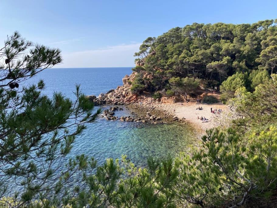 Bandol Roc Beach Vue Mer Grand T3 Face A La Plage Avec Parking Eksteriør billede